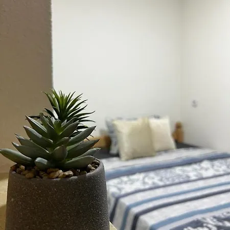 Dejana Vlasic Apartment