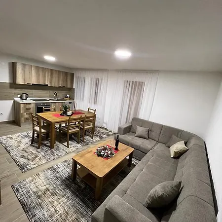 Dejana Vlasic Sisava